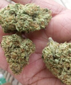 Mendo Breath Marijuana Strain