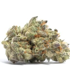 Cookies and Cream Weed Strain