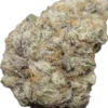Gelato #41 x Zkittlez