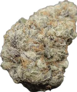 Gelato #41 x Zkittlez